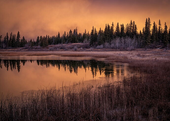 TN2025-_MG_7569-Edit-- NPN copy.jpg