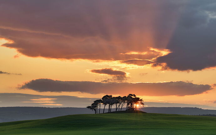 Sunset-Rays-Gollanfield-ntl
