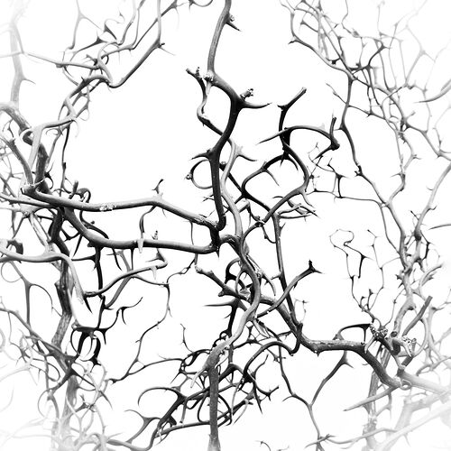 untitled-14NPNWebLrg-NPNWebLrg 4.9mb-2.jpg