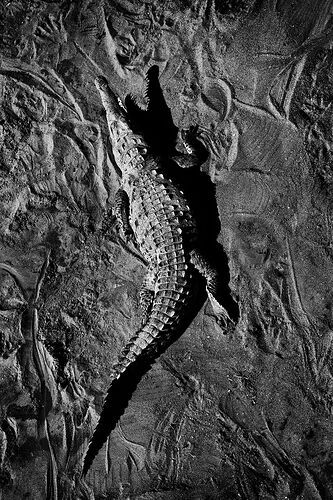 IMG_4874_Master_RE-Edit B&W-2000-Edit