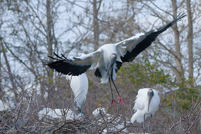 DSC_6239_DxO.jpg