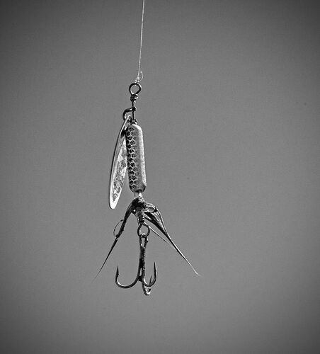 Hook Line and Sinker 2025.jpg