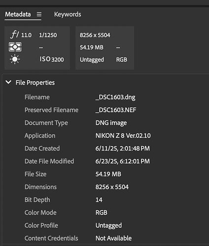 Metadata.jpg