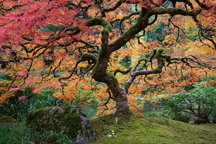 IMG5DIIIPost10k_4075NPNWebLrg-NPNWebLrg 4.9mb-2.jpg