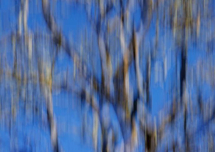 _49A0900-Edit