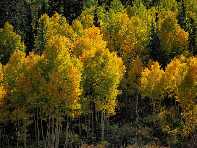 Original - 20260930-P9300626.jpg
