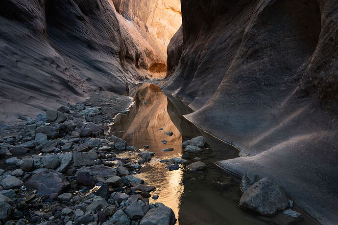 Trevor Top 10--6.jpg