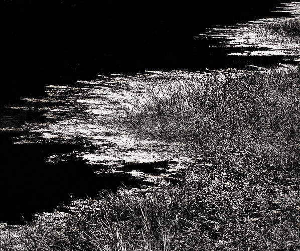 Contrast in the Pond 2025NE