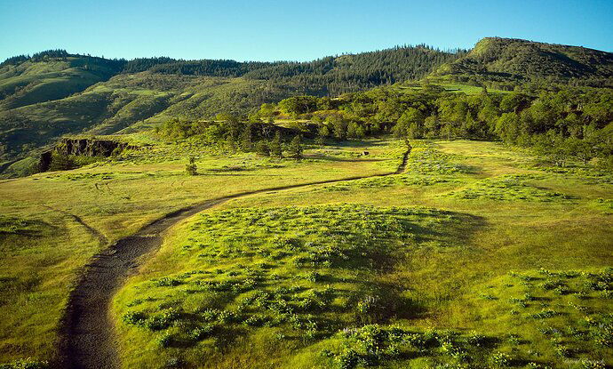 Spring from Above