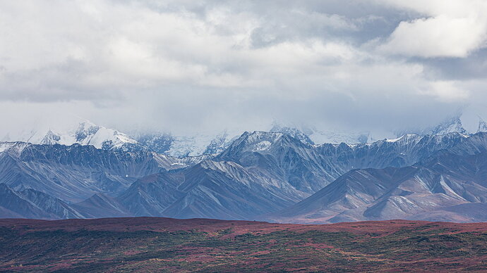Original - IMG5DMarkIV_1461NPN3MB-NPN3Meg-2.jpg