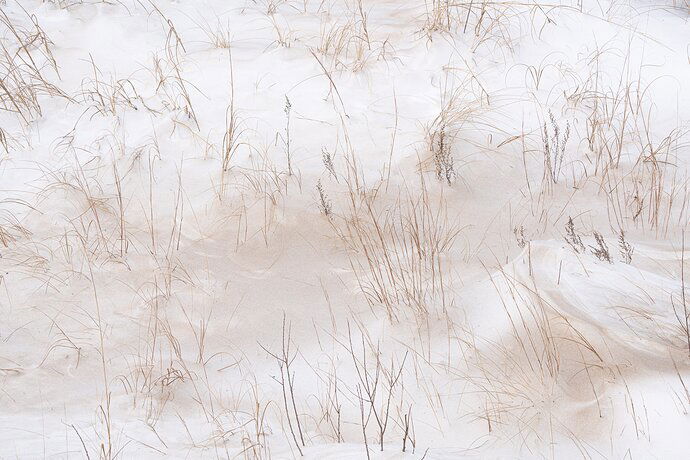 Winter Dune