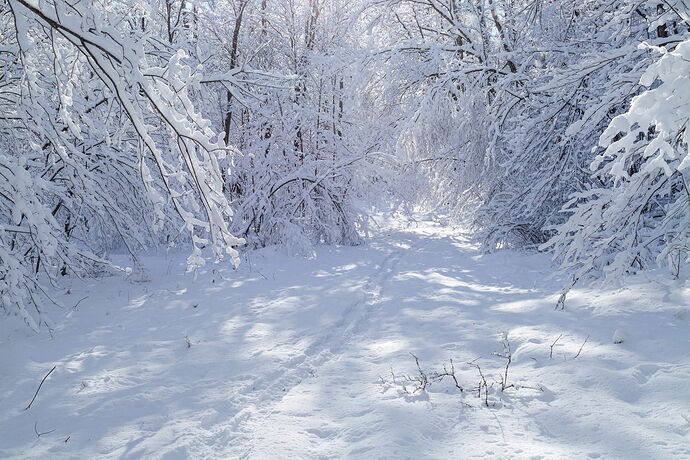 Kristen_SmithJanuary 02, 2026_1013017.jpg