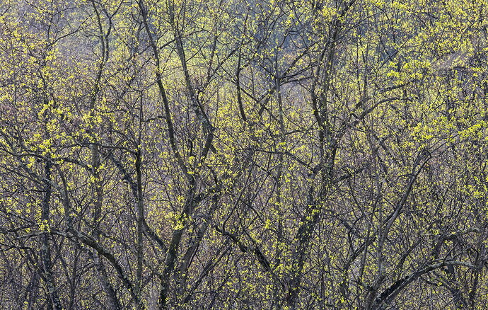 _DSC6188 copy.jpg