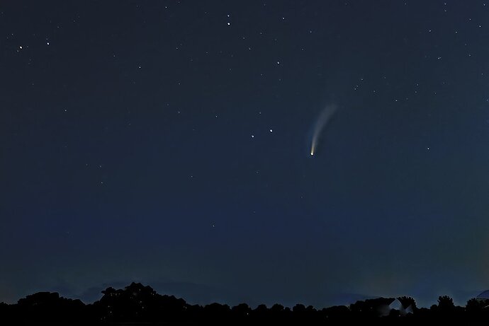 Neowise Comet.jpg