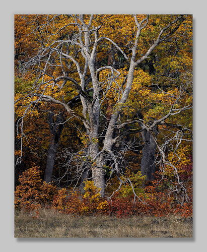 20251030 Time Passes.jpg