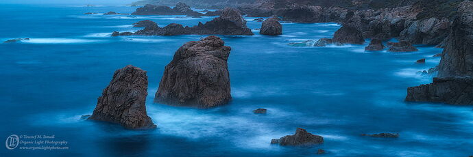 _DSC6388_Garrapata_Alone_NPN.jpg