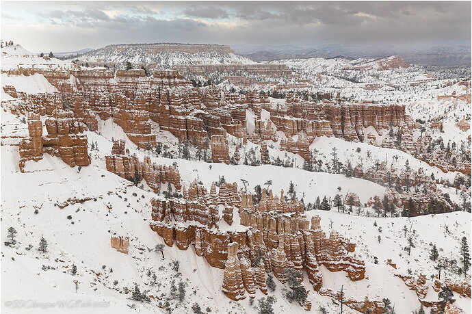 Original - Brrrrryce-6045-DxO_A77-26.jpg