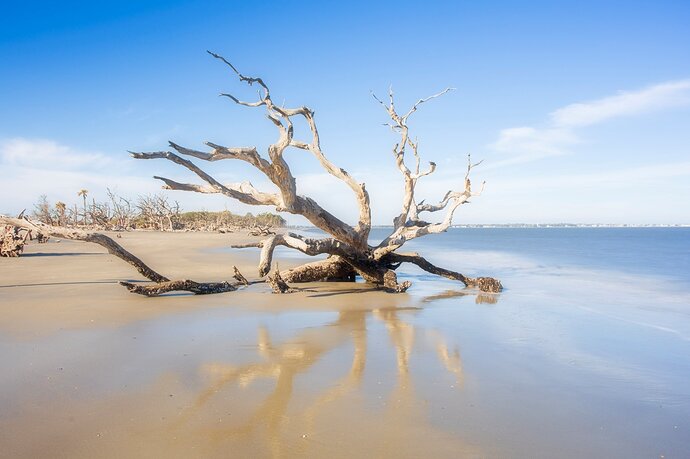 Jekyll Island.jpg