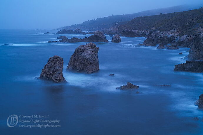 _DSC6388_Garrapata_Alone_RAW_NPN