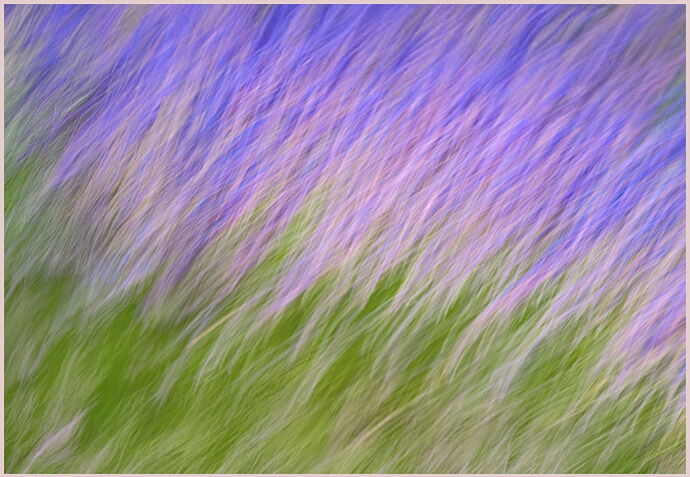 SRB_AB120 copy 4XNB2