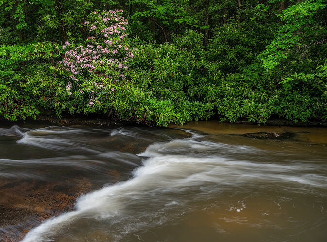_DSC0298 copy.jpg