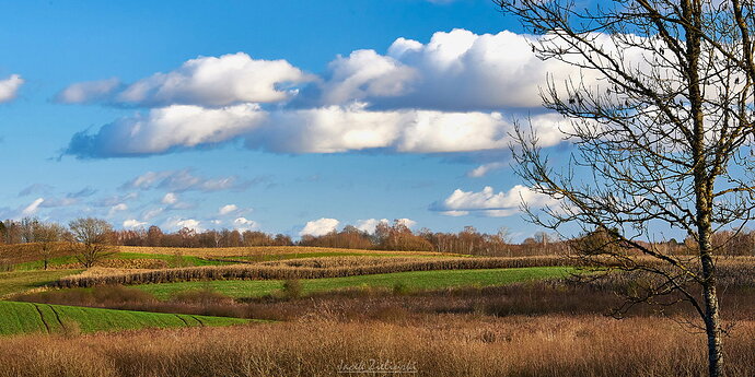 DSC_1559_HDR