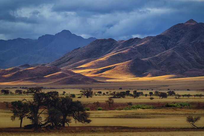 Sunset Light on the Namib Rand