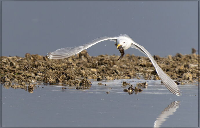 -20240605-_A1_2247-Big Beef Creek-ARW-Edit.jpg