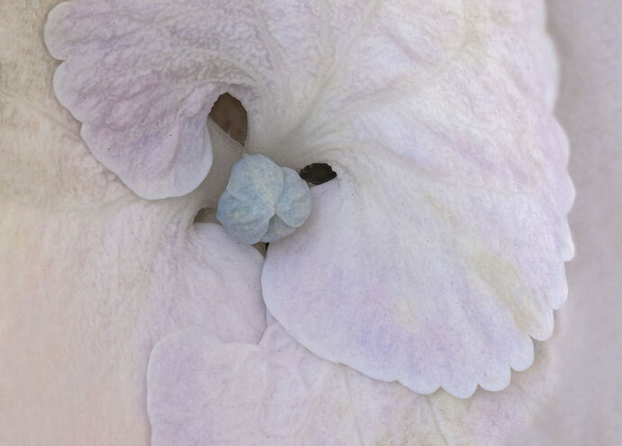 2025-06-24-05.26.25 ZS PMax-Edit-Edit.jpg