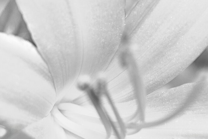 20260706-DSC02613