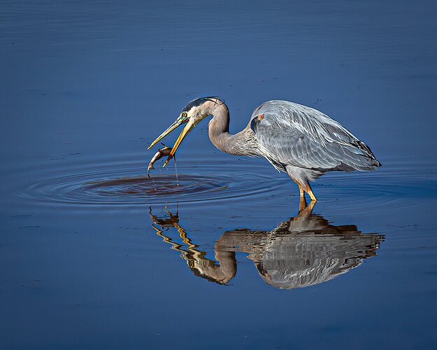 Brakfast reflection