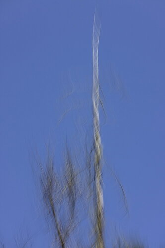 Additional image 2