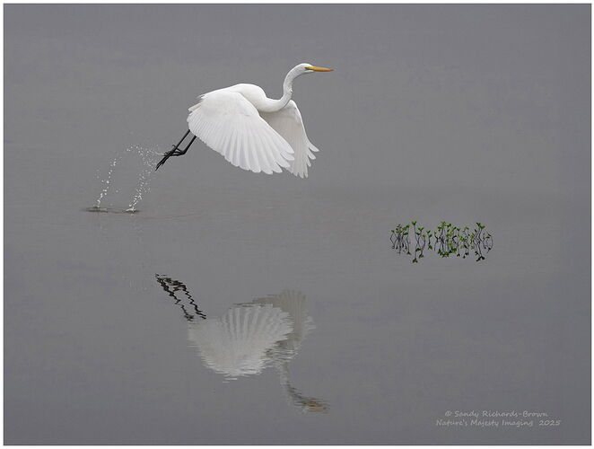 RB_08755 copy 3XNB2XX