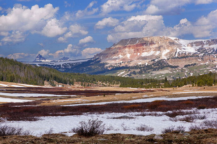Beartooth Butte, Spring copy