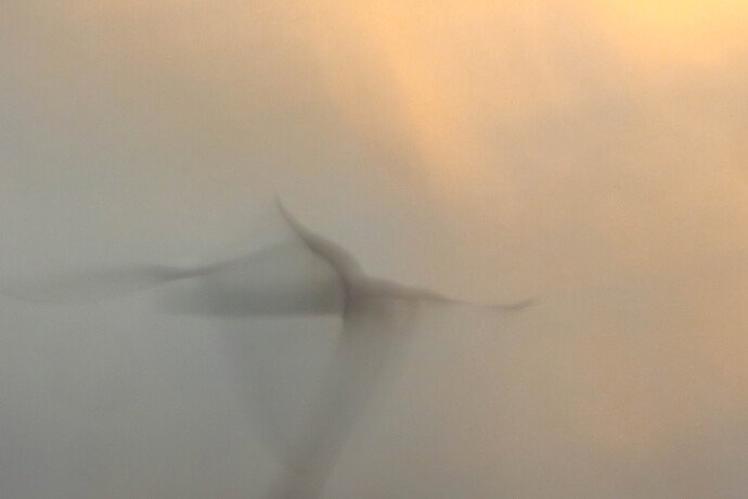 Flying c (1 of 1).jpg