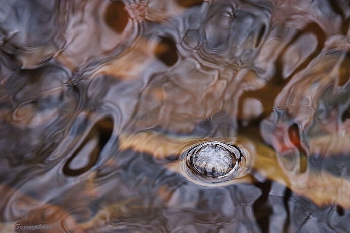 Bubble in the Flow.jpg