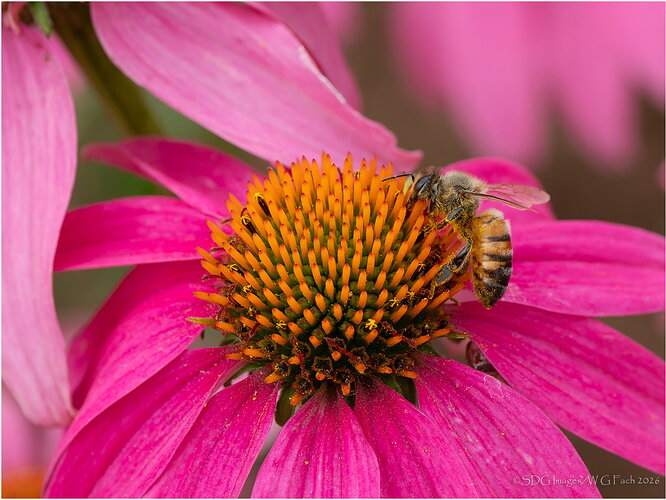 Table-for-One-70103-DxO-A7r3-26.jpg
