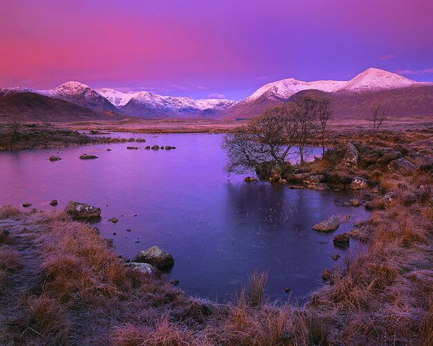 Plumrise Rannoch