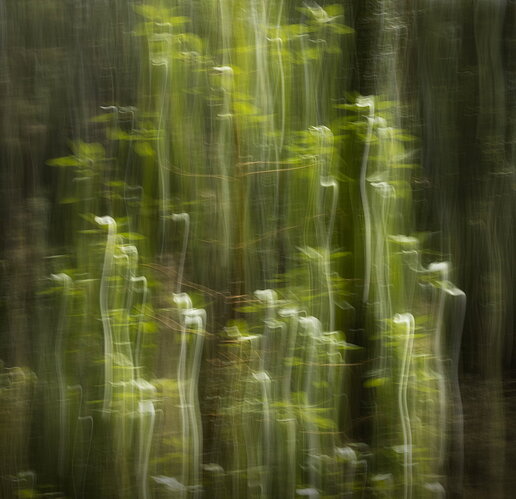 _49A4314-Edit-Edit