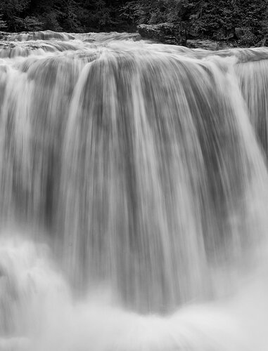 Full Throttle # 2 in B&W