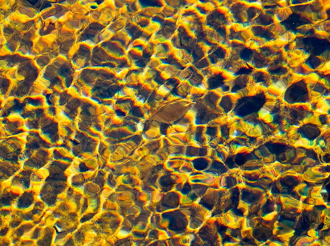 Treasures in the River.jpg