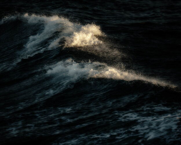 Shadow Play in Macro-3761.jpg