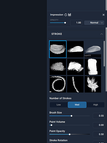 Metadata screenshot