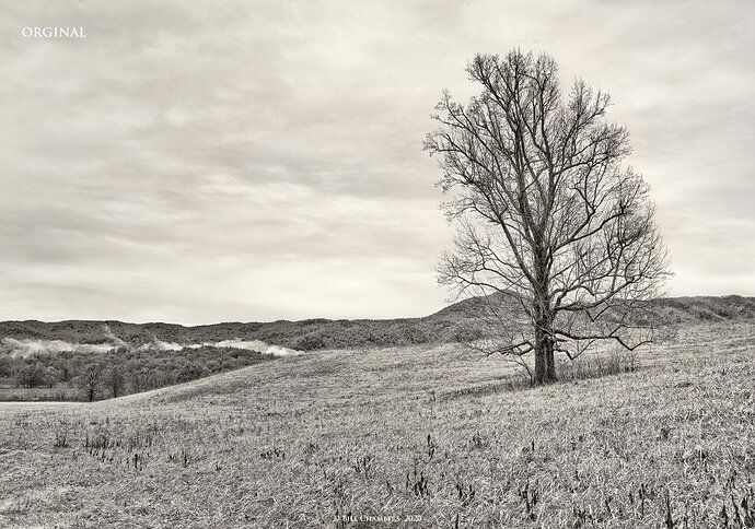 _1FX9123 - Cades Cove Scenic C1 - B&W ORIGINAL - 1500