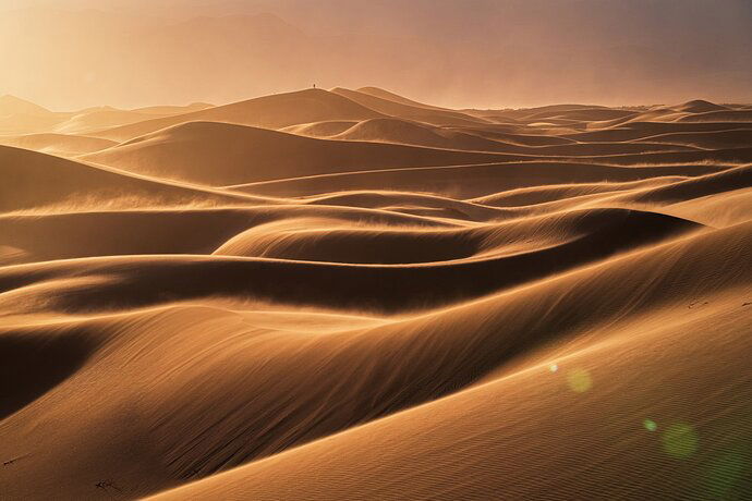 _DSC7140-Enhanced-NR