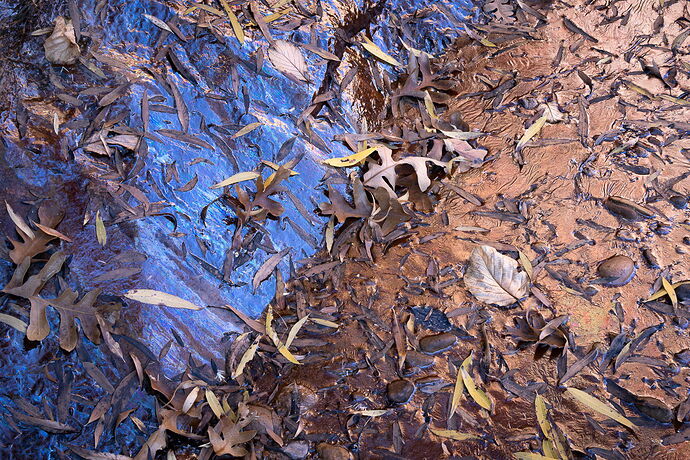 Trevor Top 10--7.jpg