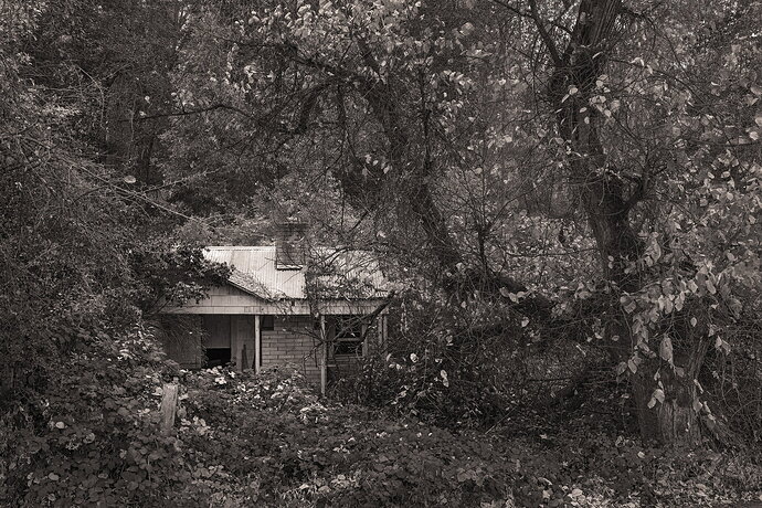 Original - Oct172021_Trinity_0011-sharpened.jpg