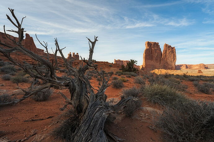 Afternoon at Courthouse Towers II.jpg