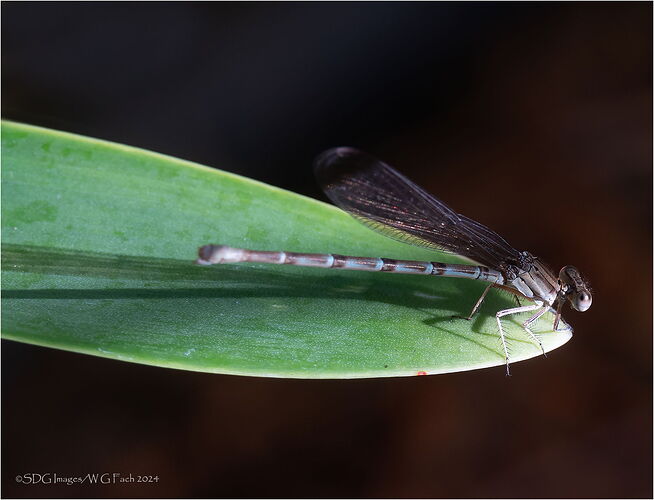 On-Your-Mark-3-23906A7R3XL