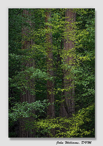 Original - 20260505 Older Backdrop.jpg